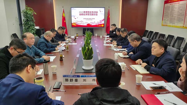 安徽鹽業(yè)地產(chǎn)集團(tuán)公司黨委召開2020年度民主生活會(huì)前征求意見座談會(huì)
